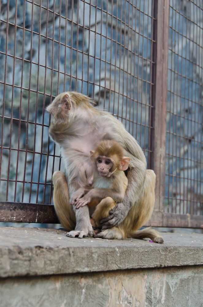 Photograph by Татьяна