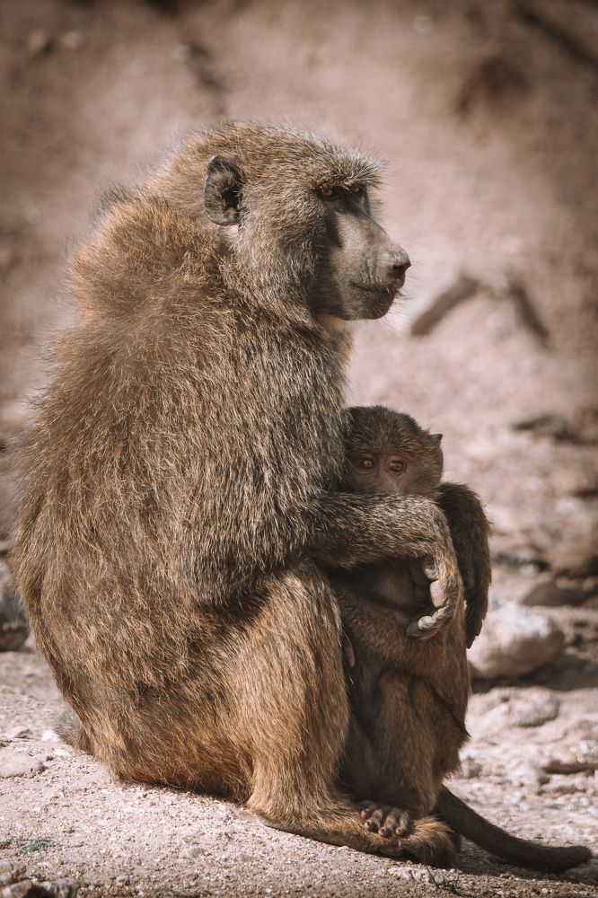 Photograph by Ángel Esteban