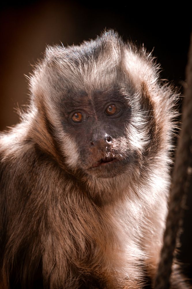 Photograph by Ángel Esteban