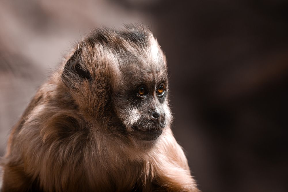 Photograph by Ángel Esteban