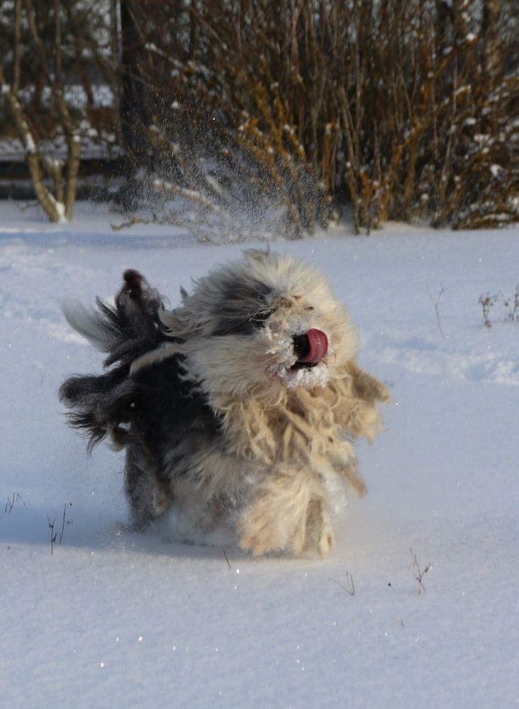 Photograph by Алексейчик Дмитрий