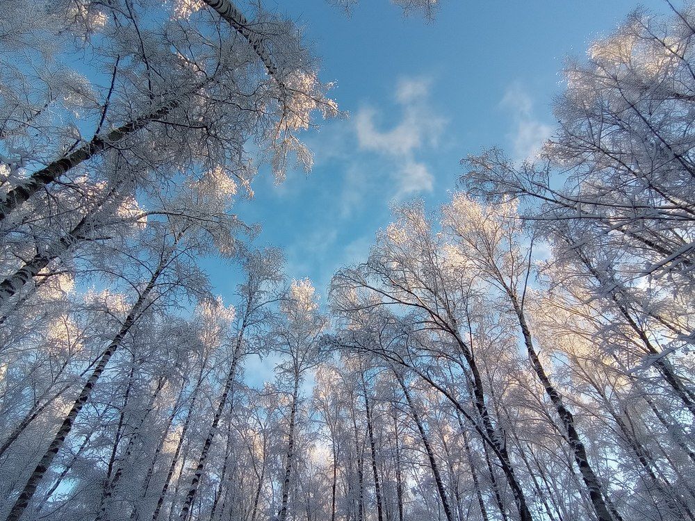 Photograph by Ирина Орлова