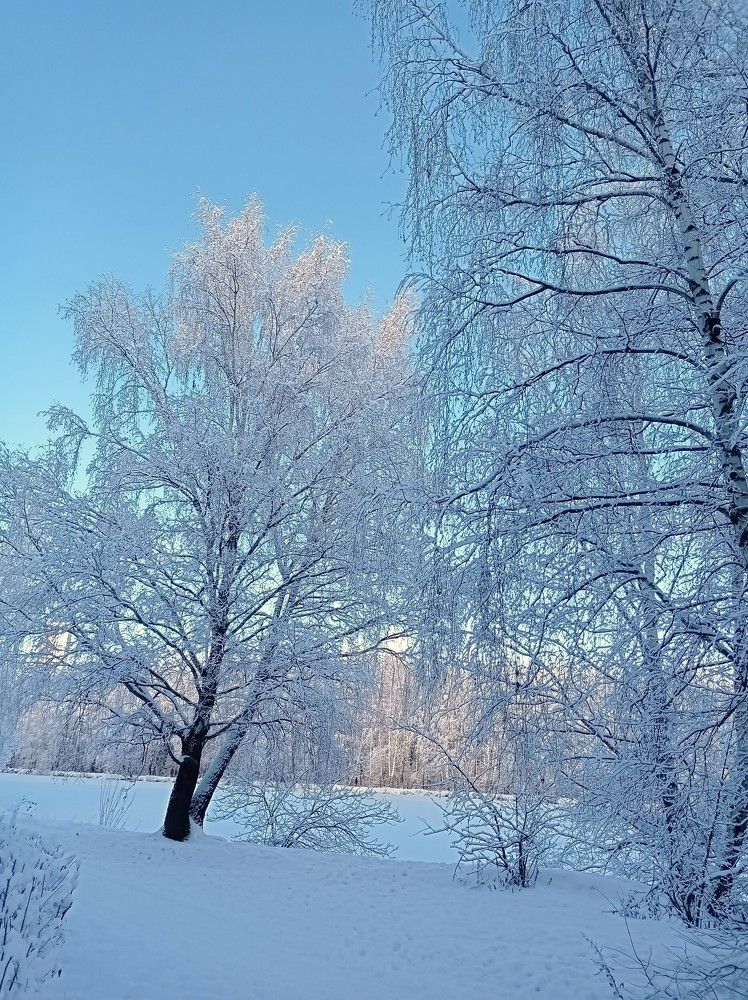 Photograph by Ирина Орлова