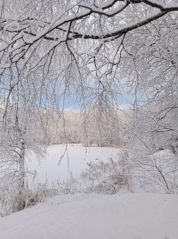 Photograph by Ирина Орлова