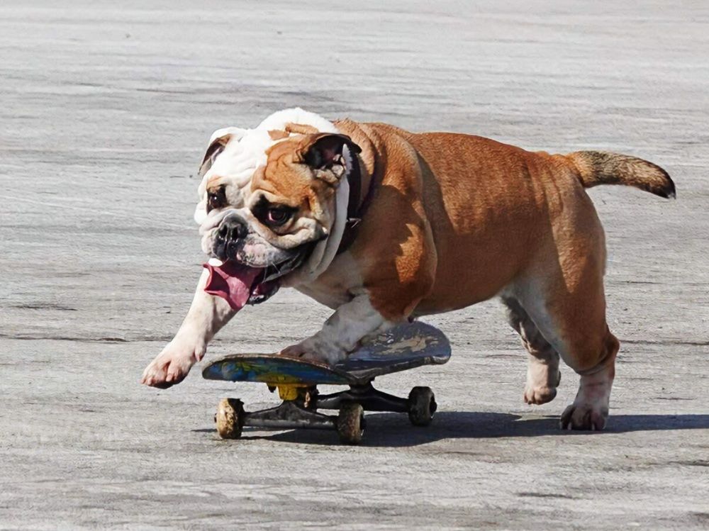 На крутых поворотах!