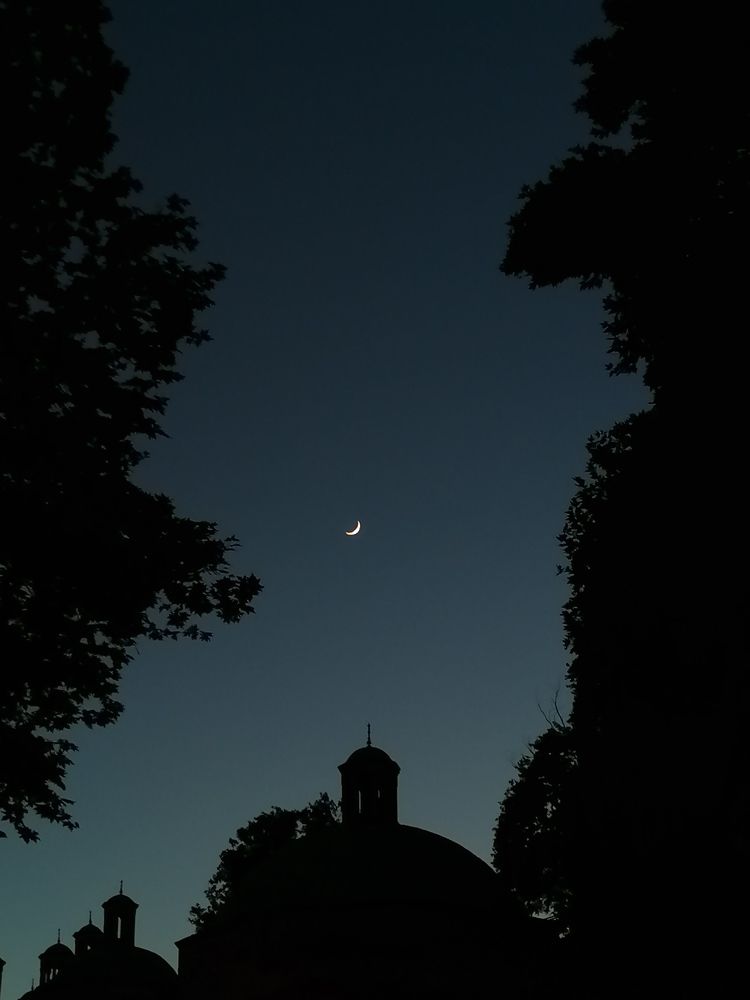 Photograph by Hala