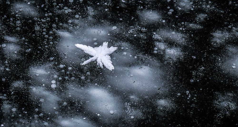 Photograph by Вячеслав Лычков