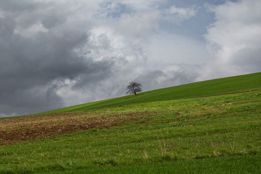 Photograph by Ivars Salmanis