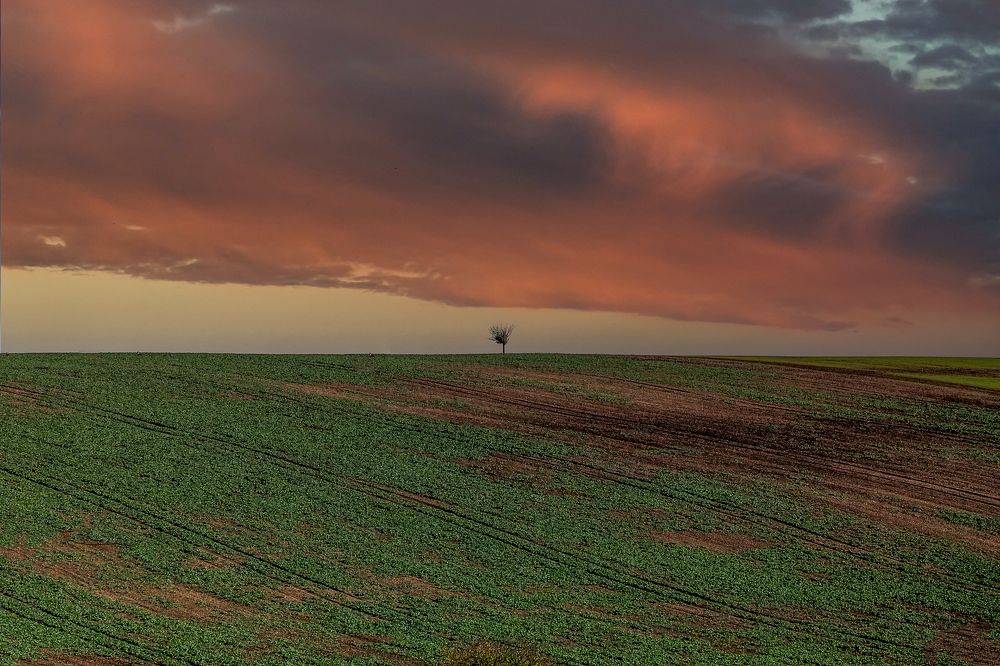 Photograph by Ivars Salmanis