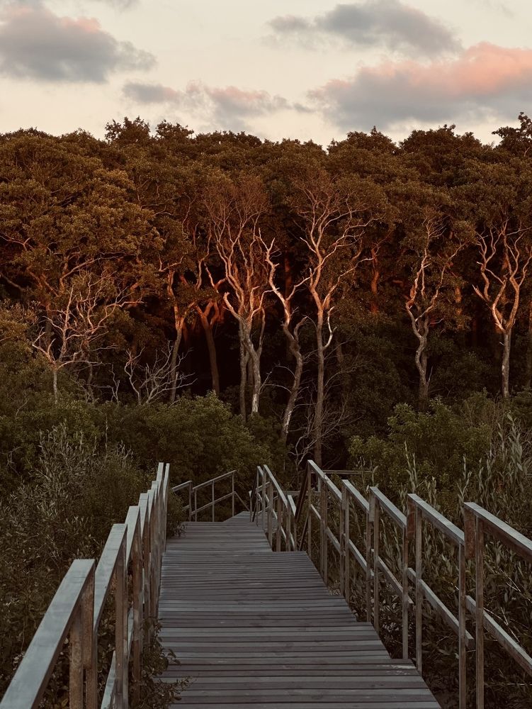 Фотография автора Swetlana Brenitsch