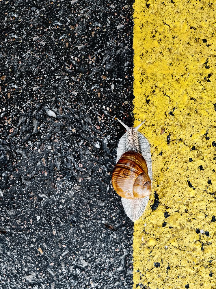 Photograph by Илья Цымбал