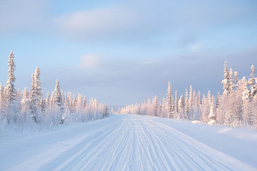 Photograph by Нелли