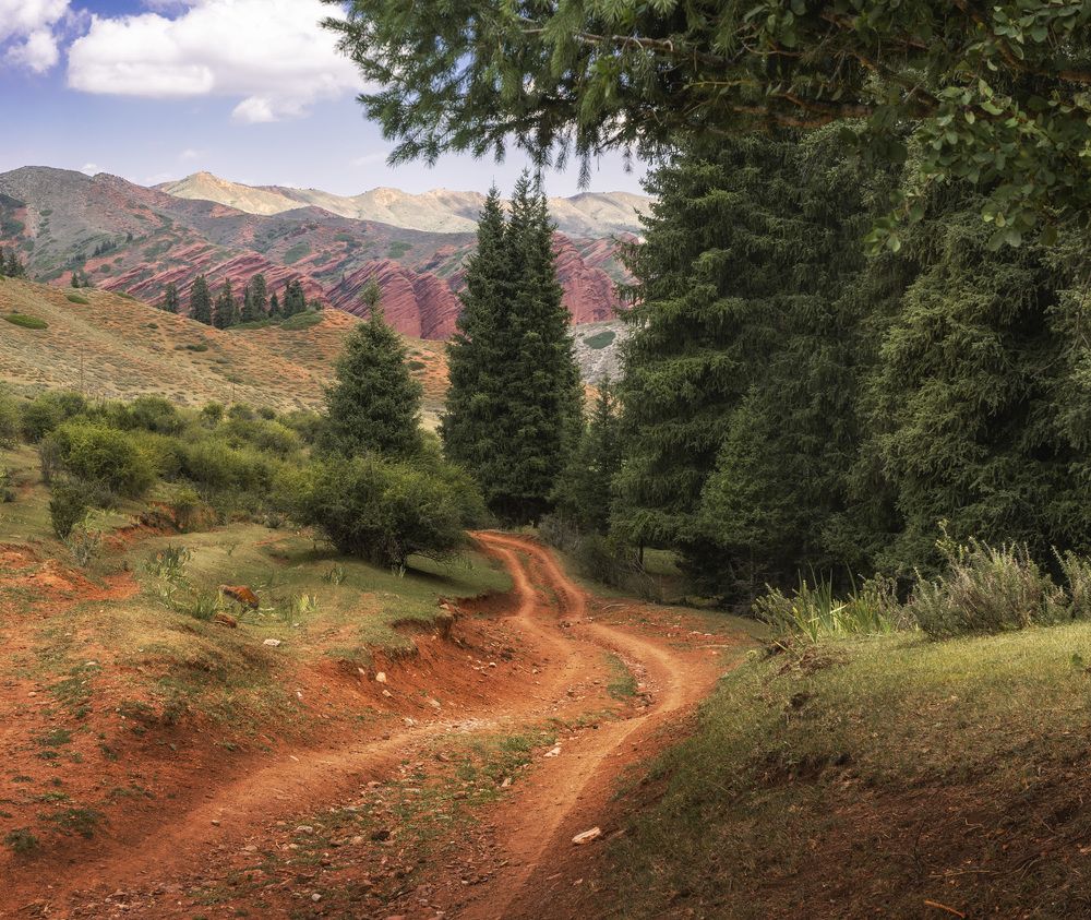 Фотография автора Татьяна Добровольская