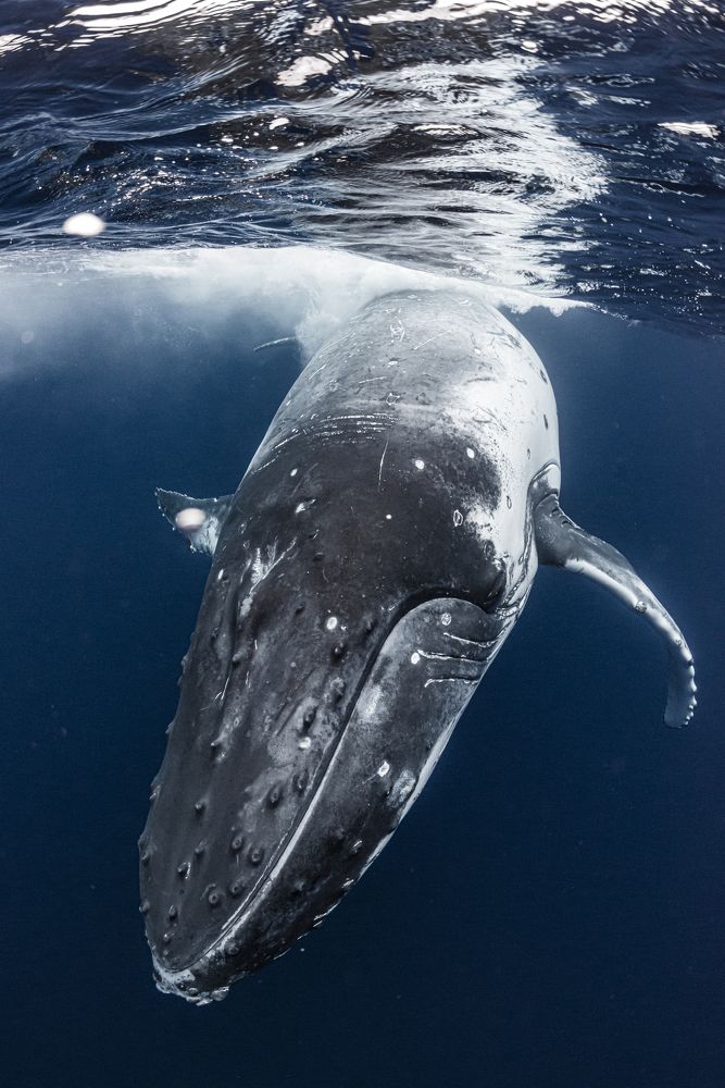 Photograph by Kurashima Daisuke