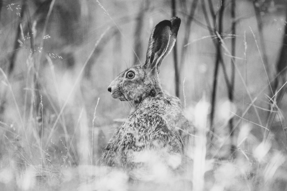 Photograph by Гукасян Геворк