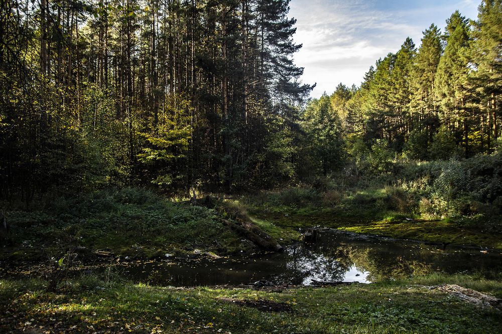 Фотография автора Андрей Рогов