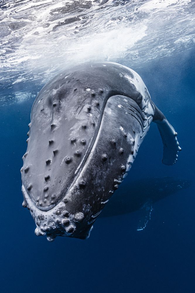 Photograph by Kurashima Daisuke