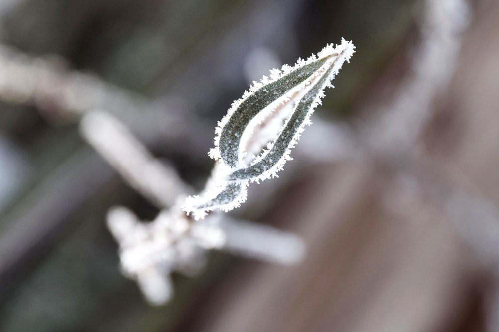 Photograph by Чеботарёва Валентина Петровна