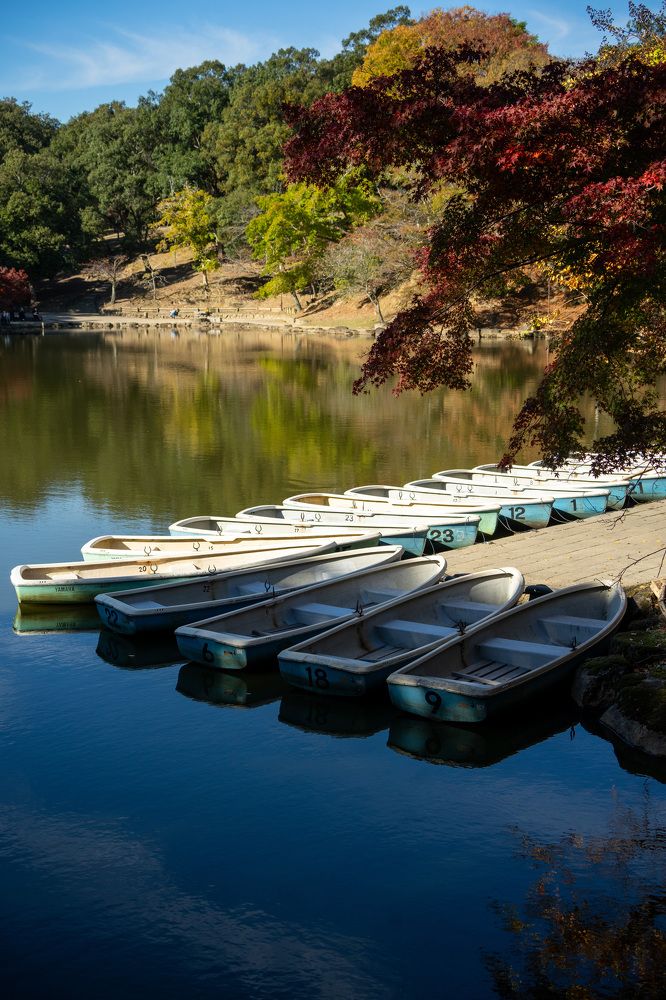 Фотография автора Ирина Зайцева