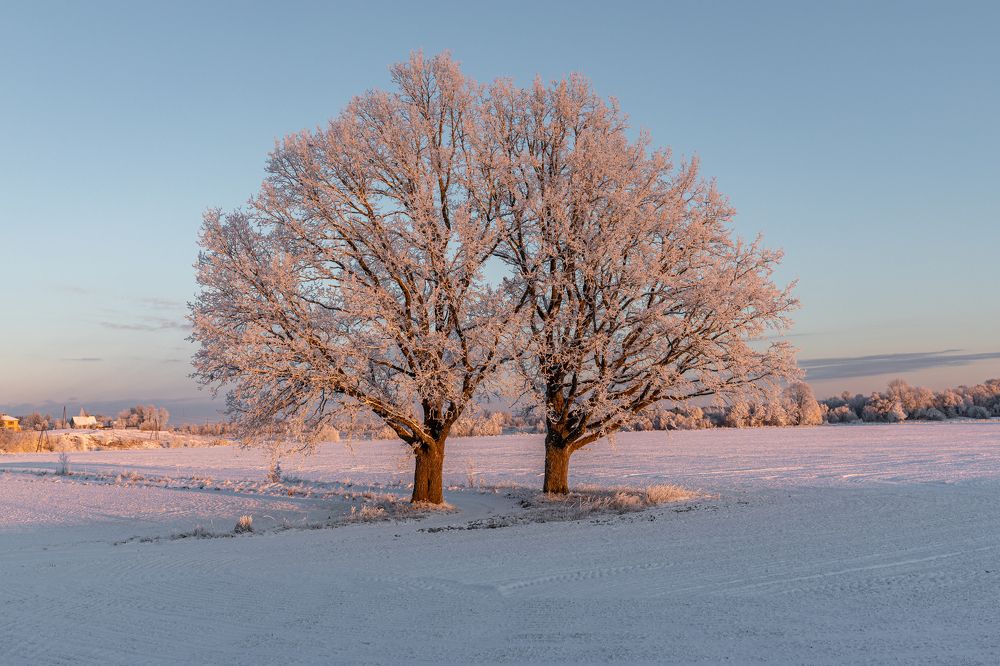 Photograph by Ivars Salmanis