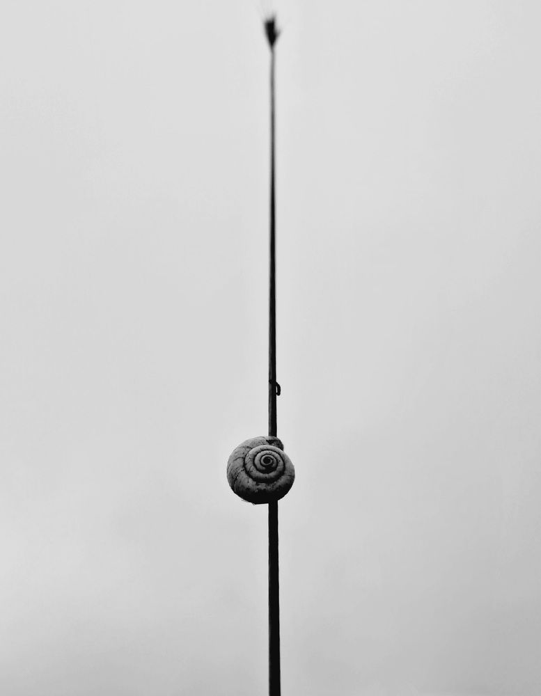 Photograph by Hana Vaseqi