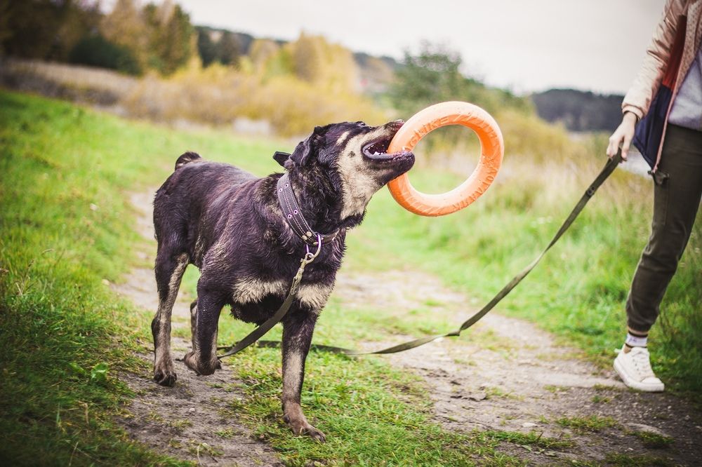 Photograph by Елена Зиновьева