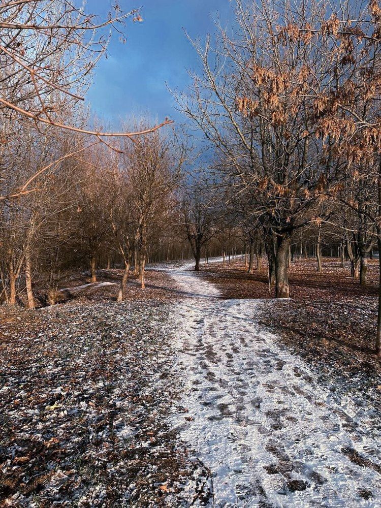 Photograph by Екатерина Козлова