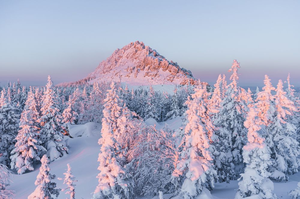 Спящий Дракон