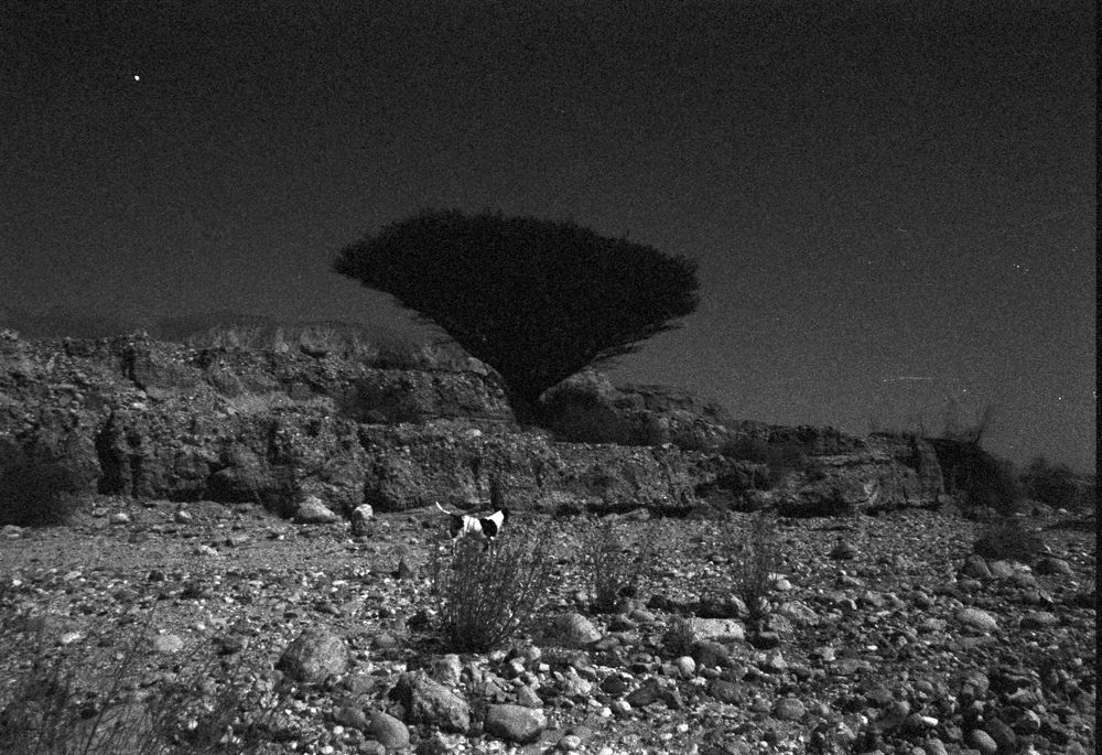 Photograph by Vladimir liametz