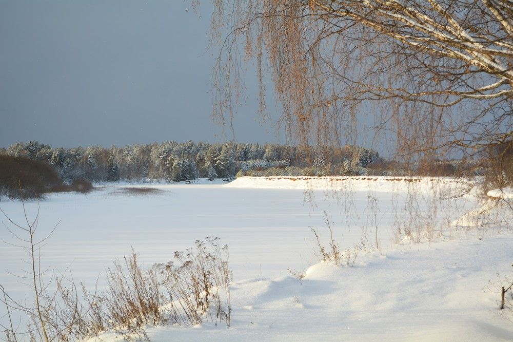 Photograph by София Бояринцева