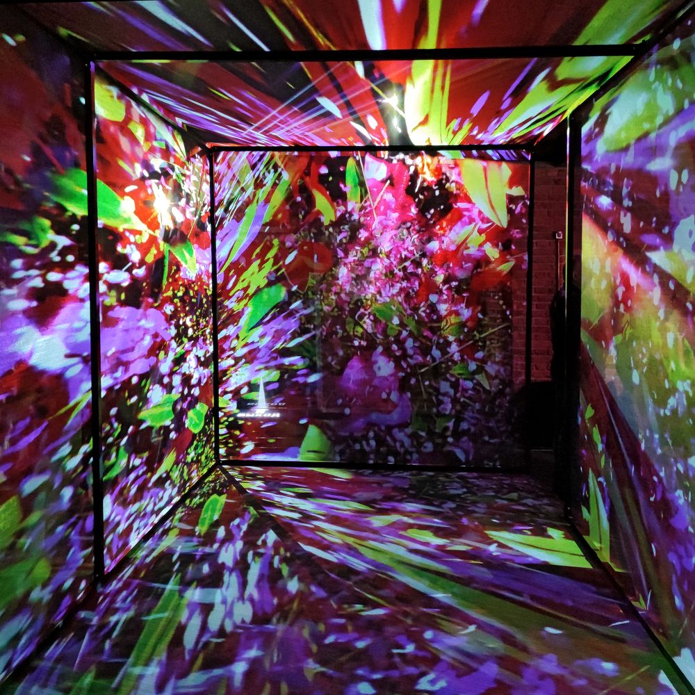 Цифровые сады