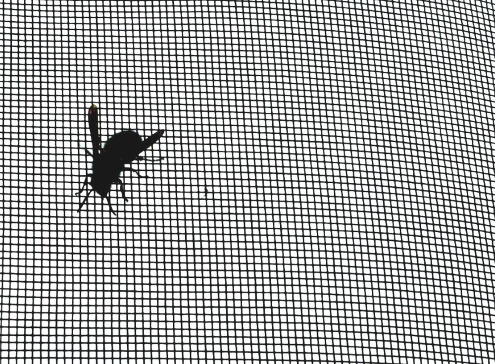 Photograph by Сергей Хвостовец