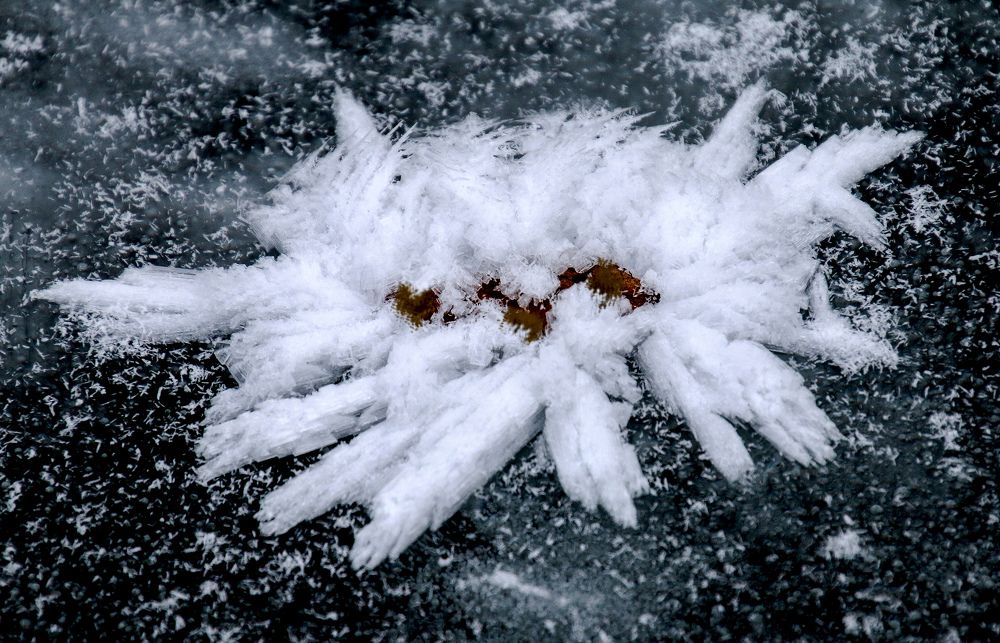 Photograph by Вячеслав Лычков