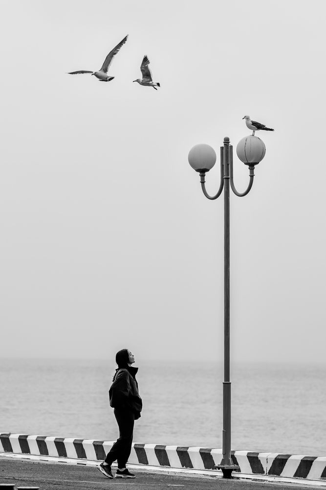 Photograph by константин