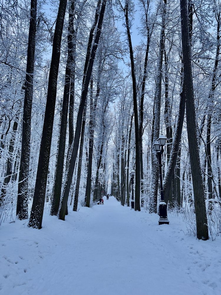 Photograph by Дмитрий Стрелков