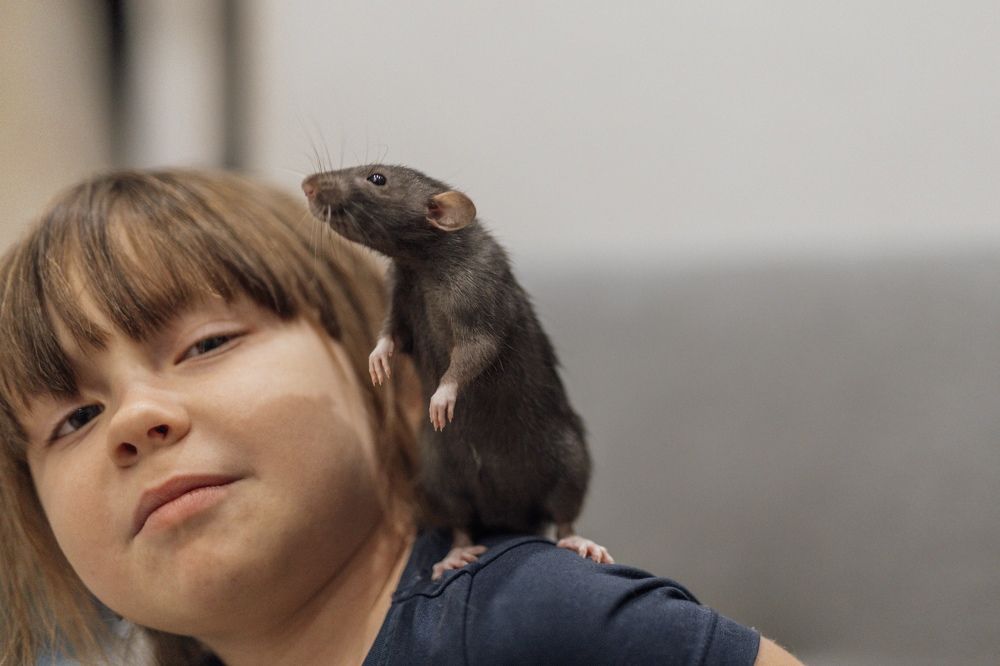 Photograph by Юлия Алексеева