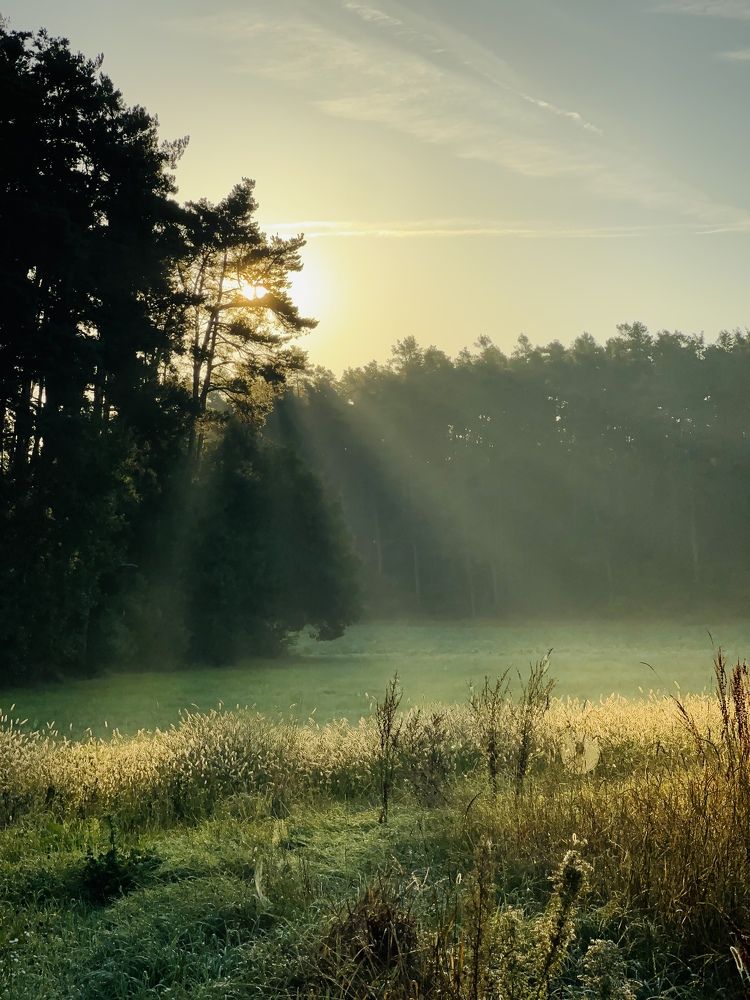 Фотография автора Swetlana Brenitsch