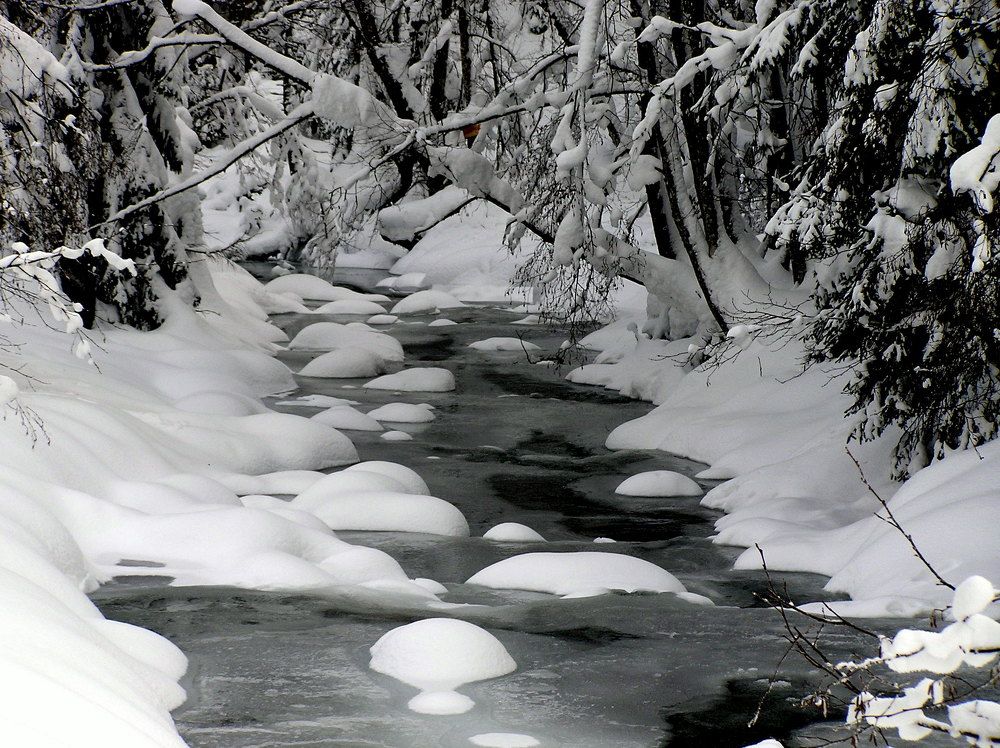 Photograph by Vladislav Kaplun