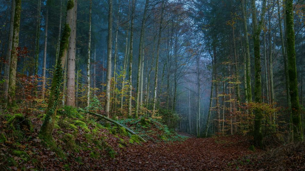 Photograph by Шимаковский Юрий