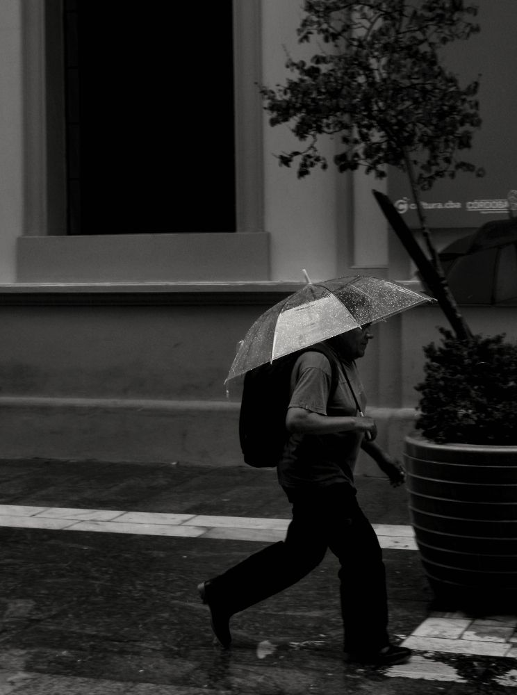 Фотография автора Alexis Malst