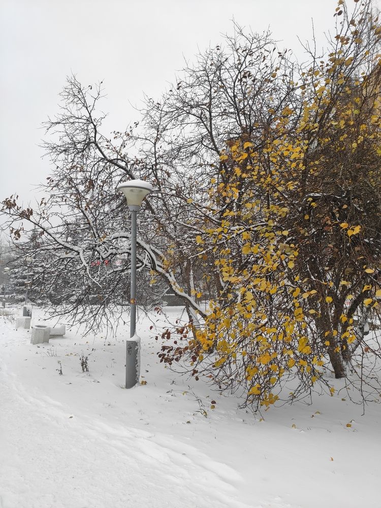 Photograph by Зыкова Наталья
