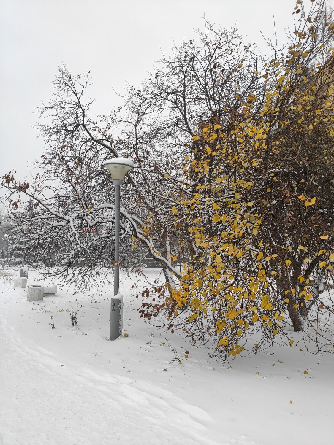 Photo #11709800