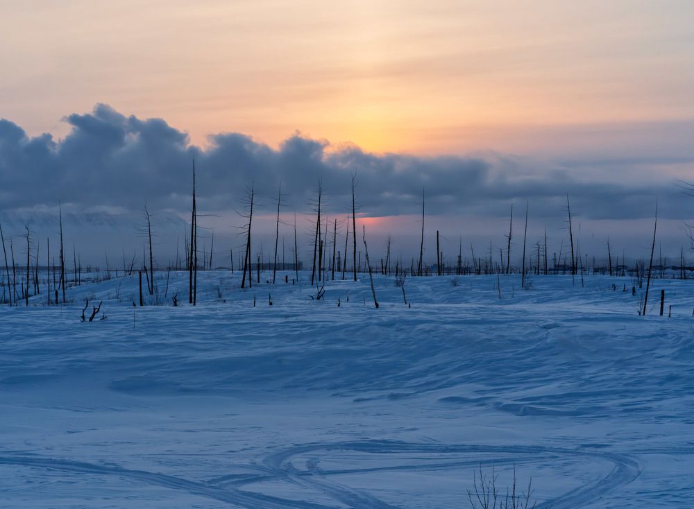 Photograph by Ilya Tikhaev