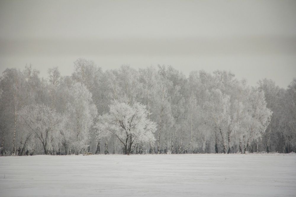 Photograph by Юлия Ломаева