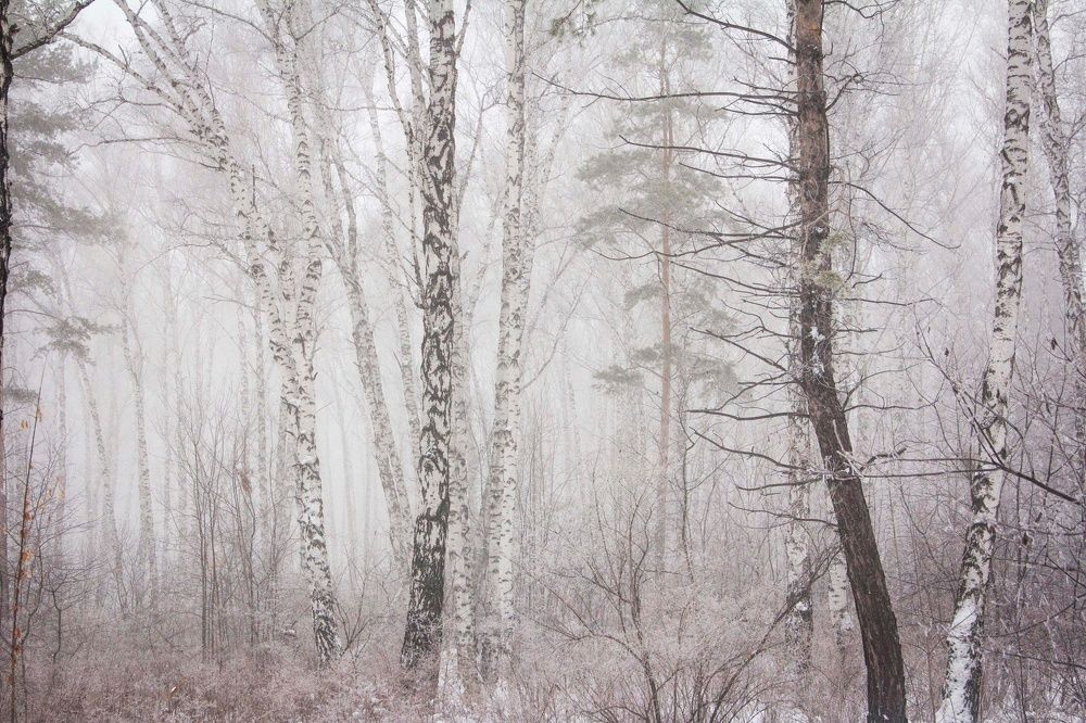 Photograph by Юлия Ломаева