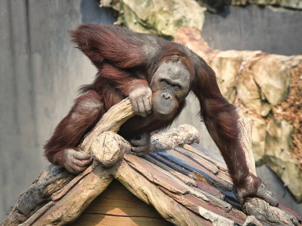 Photograph by Анвар Сейфуллин