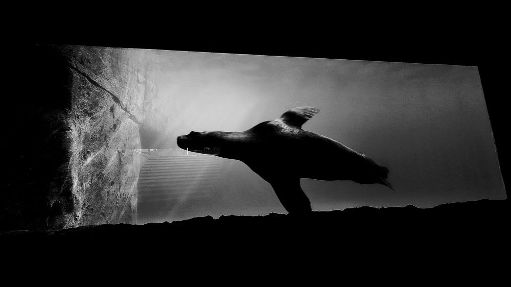 Фотография автора Diego Cesar Monroy Chaparro