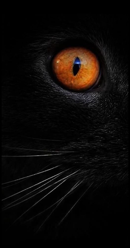 Photograph by Polina Svirida