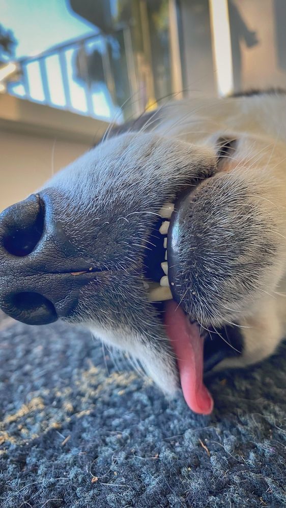 Photograph by Ленар Маликов