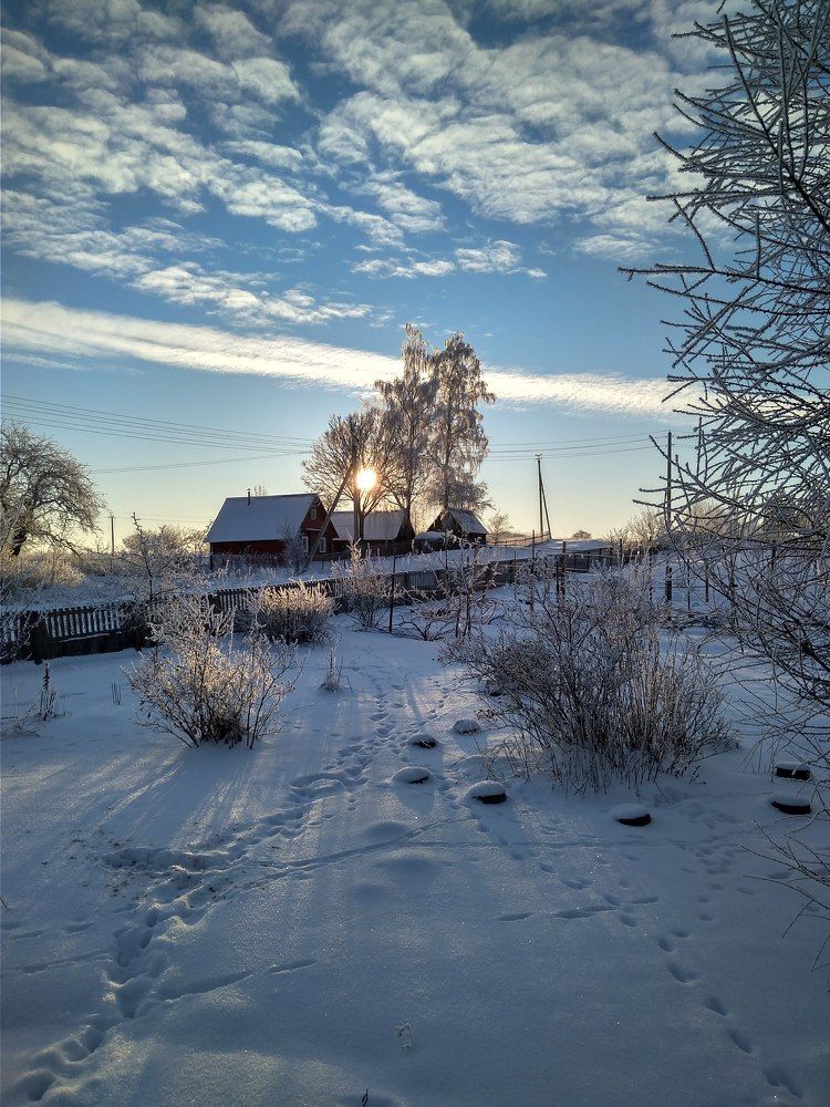 Фотография автора Алиса